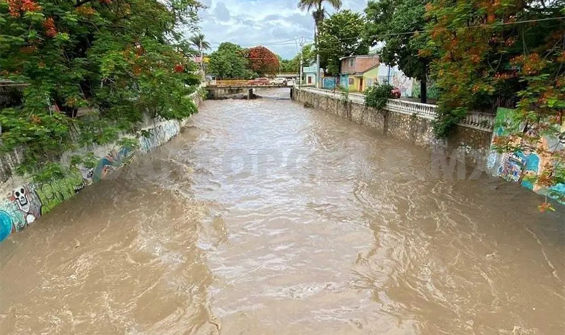 Las últimas lluvias que se han presentado en Tuxtla ha propiciado la reproducción de mosquitos que trasmiten el dengue, zika y chikungunya. CP