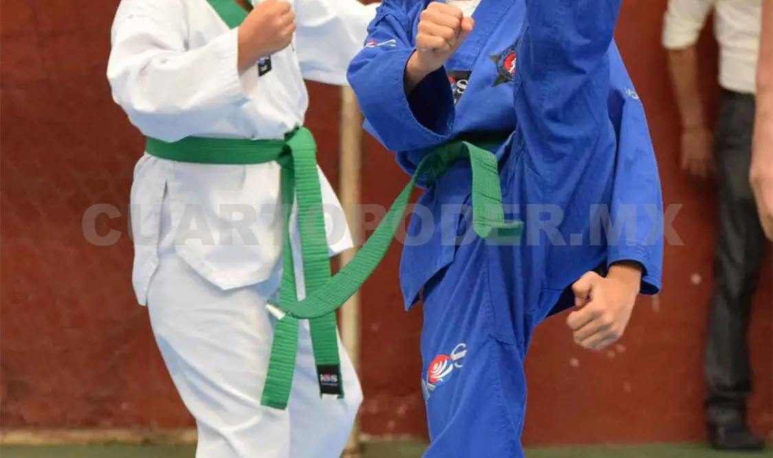 Celebran Nacional de Poomsae Virtual 2020