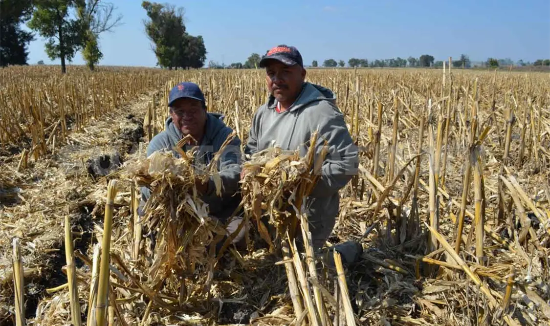 Campesinos en espera de apoyos