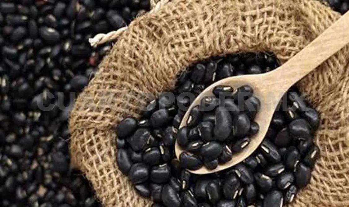 Se observa una disminución importante de la producción nacional del frijol. Twitter