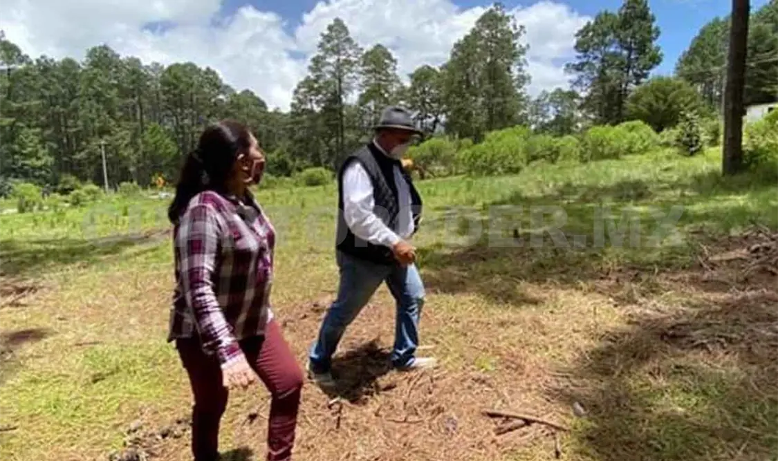 Buscan terreno para construcción de rastro