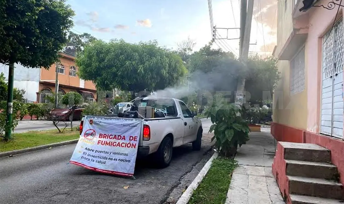 Fumigación se realizará en toda la ciudad: Salud