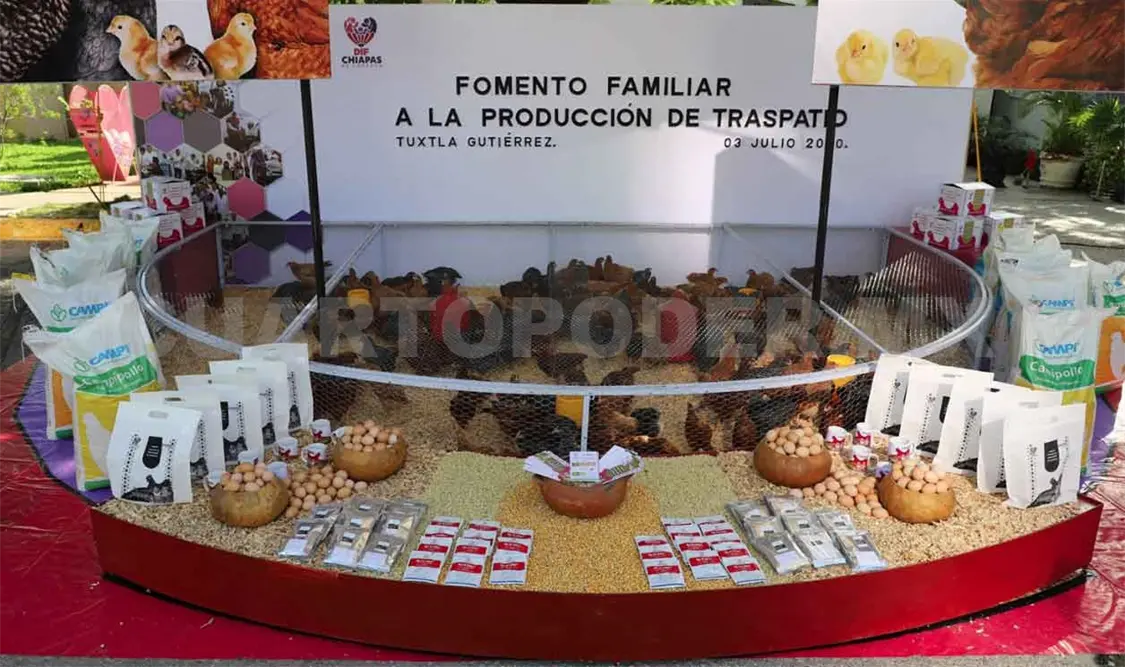 Reanudarán la entrega de apoyos sustentables