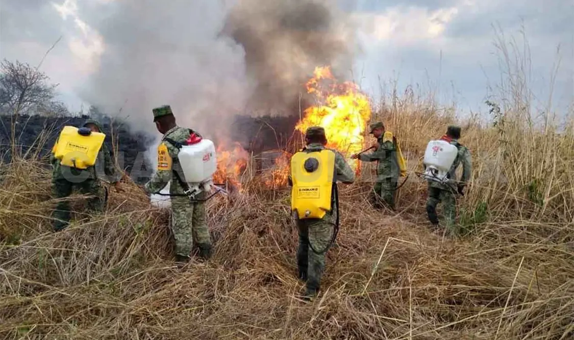 Disminuyen quemas agrícolas en Chiapas