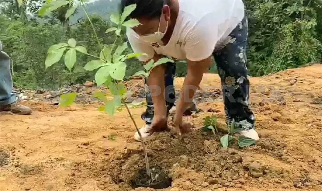 Restauran y reforestan tiradero a cielo abierto
