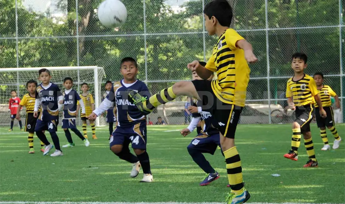 Interliga MX tendrá seminario