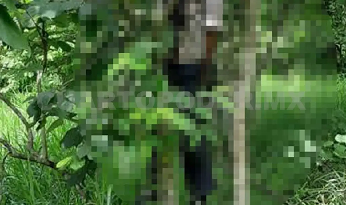 Encuentran a hombre ahorcado en un árbol