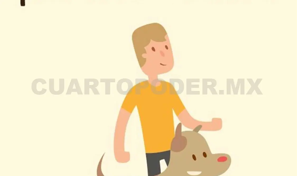 Cómo entrenar a tu perro como un experto