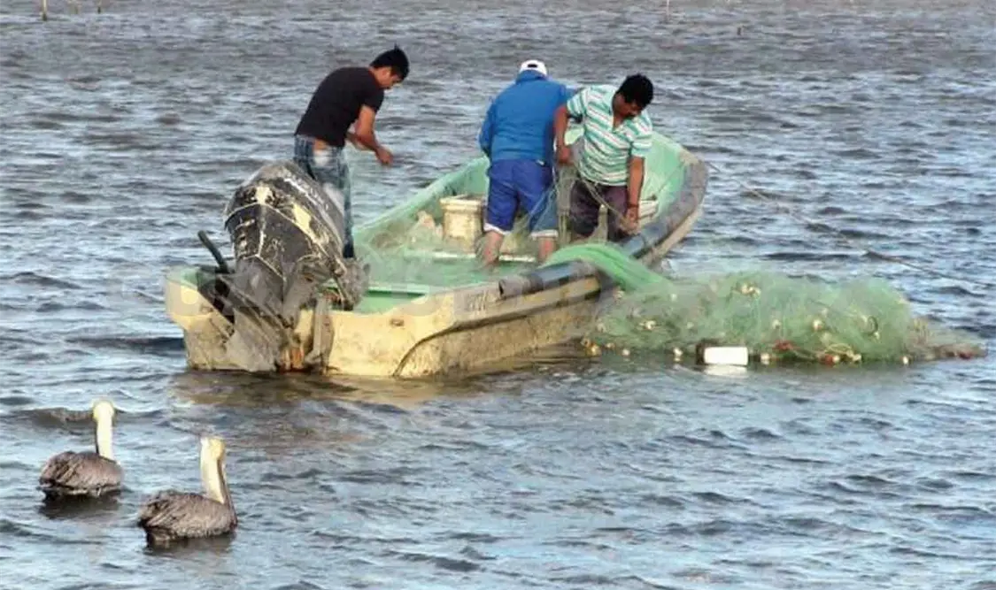 Pescadores de Arriaga renovarán sus lanchas