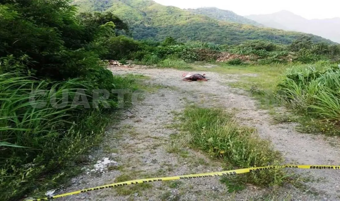 El cuerpo fue encontrado tirado en un predio, en la comunidad perteneciente al municipio de Cintalapa y colindante con el estado de Oaxaca. CP