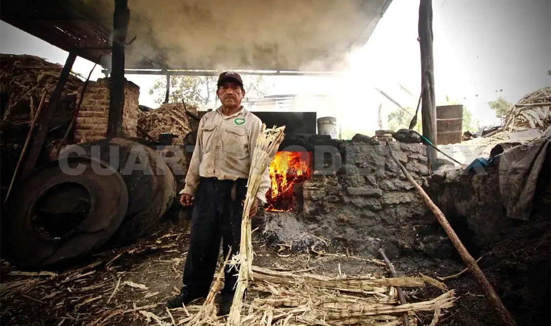 Beneficiaran con mil 330 mdp a pequeños productores