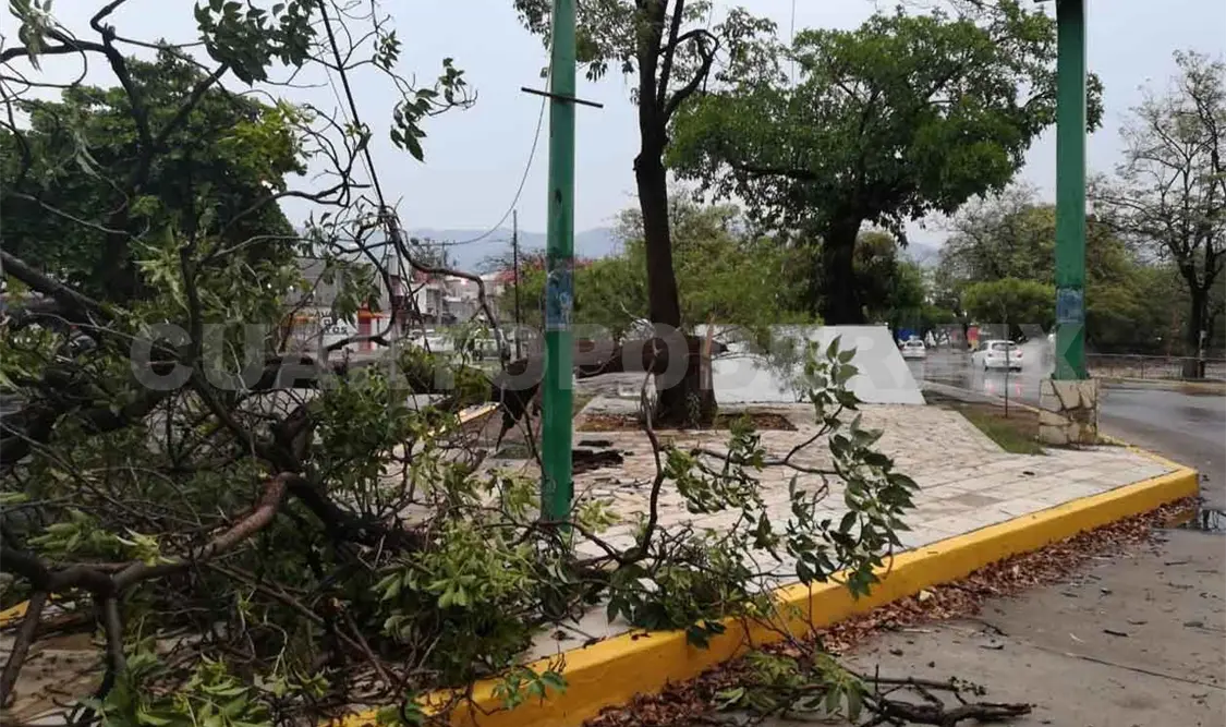 Registran saldo blanco por lluvias en Tuxtla