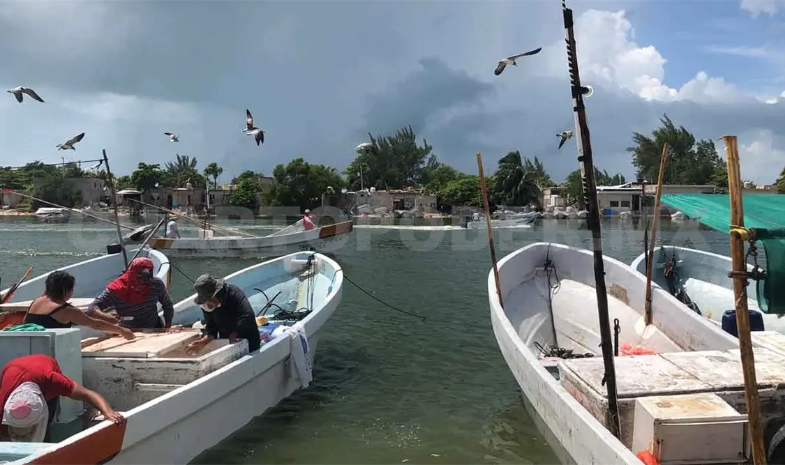 Pescadores suspenden actividades por lluvias