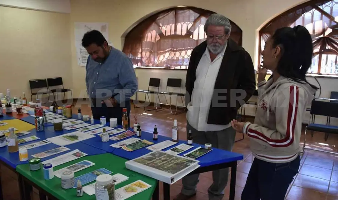 Mezcla de plantas puede provocar efectos secundarios