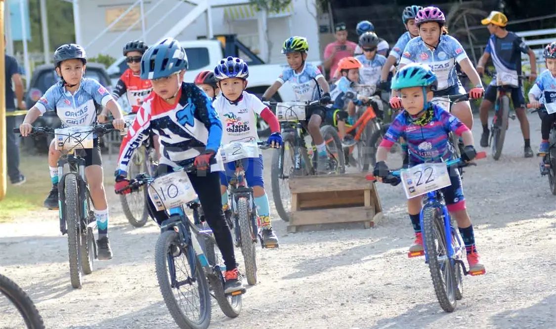 Cursos virtuales forjan nuevos entrenadores