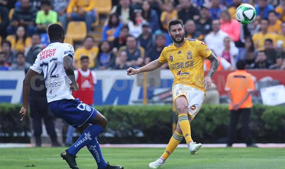 Tigres debuta ante su gente frente al Pachuca