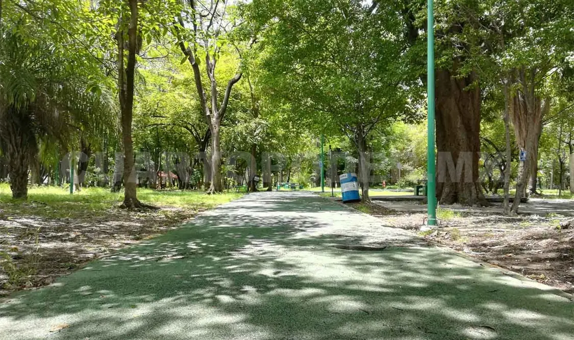 Se activa la pista de tartán en el Oriente
