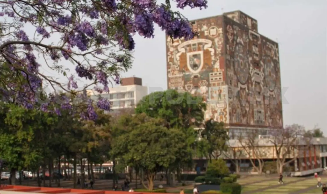 Para mayores informes, ingresar al sitio cultura.unam.mx.