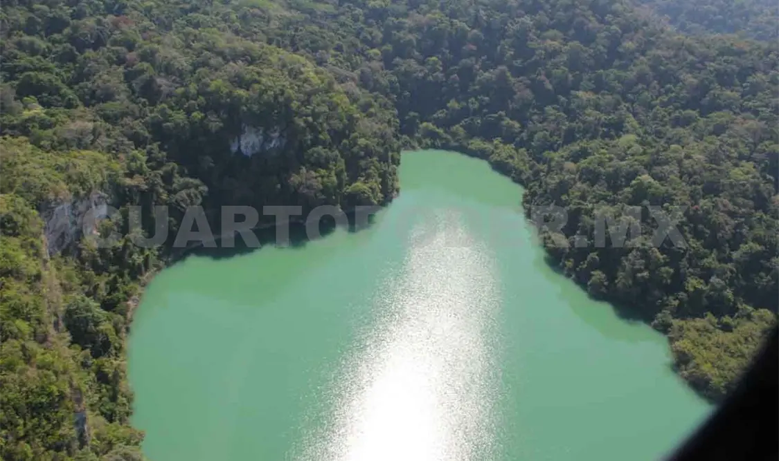 Reformas a Ley Ambiental buscan proteger el entorno