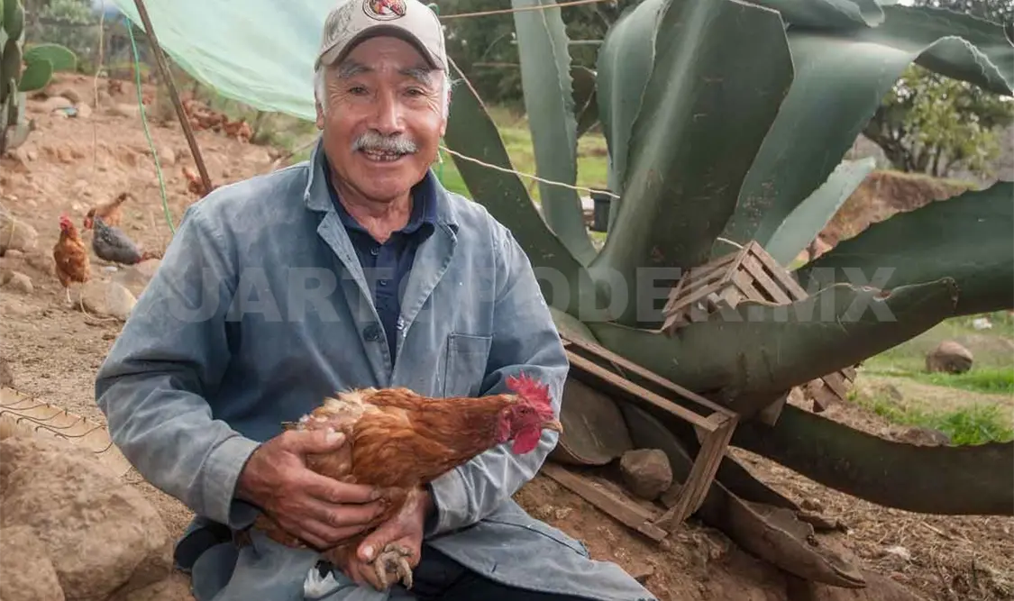 Dan apoyos a productores afectados por la pandemia
