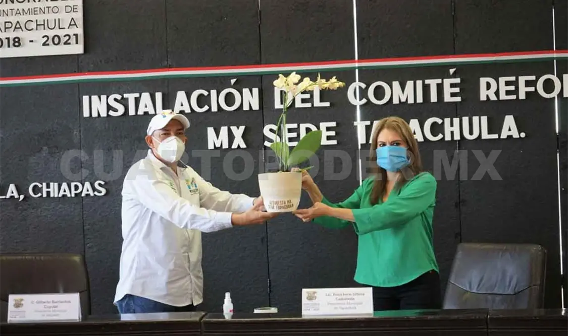 Se comprometen a impulsar reforestación