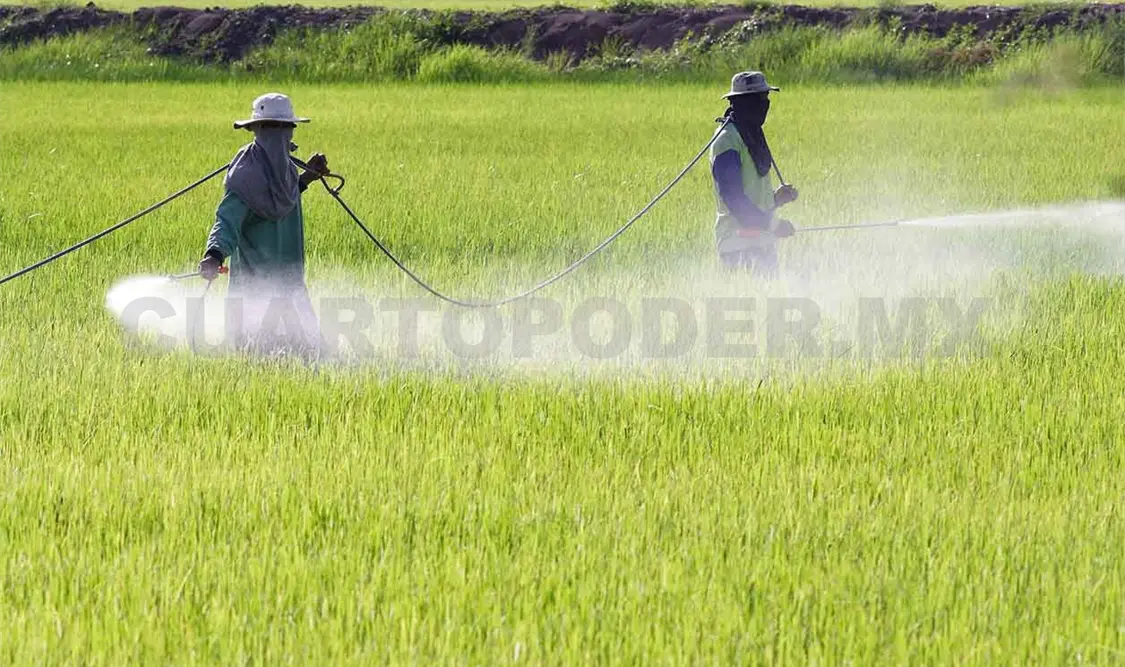 Rechazan productores proyecto sobre glifosato