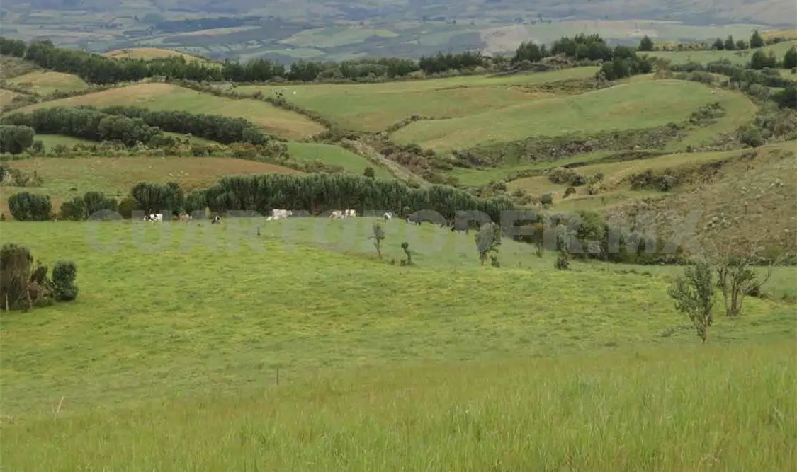 Se extiende frontera agrícola sin planificación