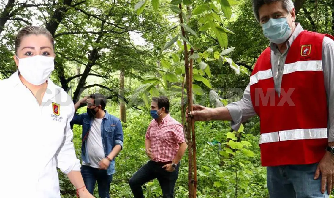 El alcalde hizo un llamado a la población a sumarse a estas acciones a favor del medio ambiente. CP