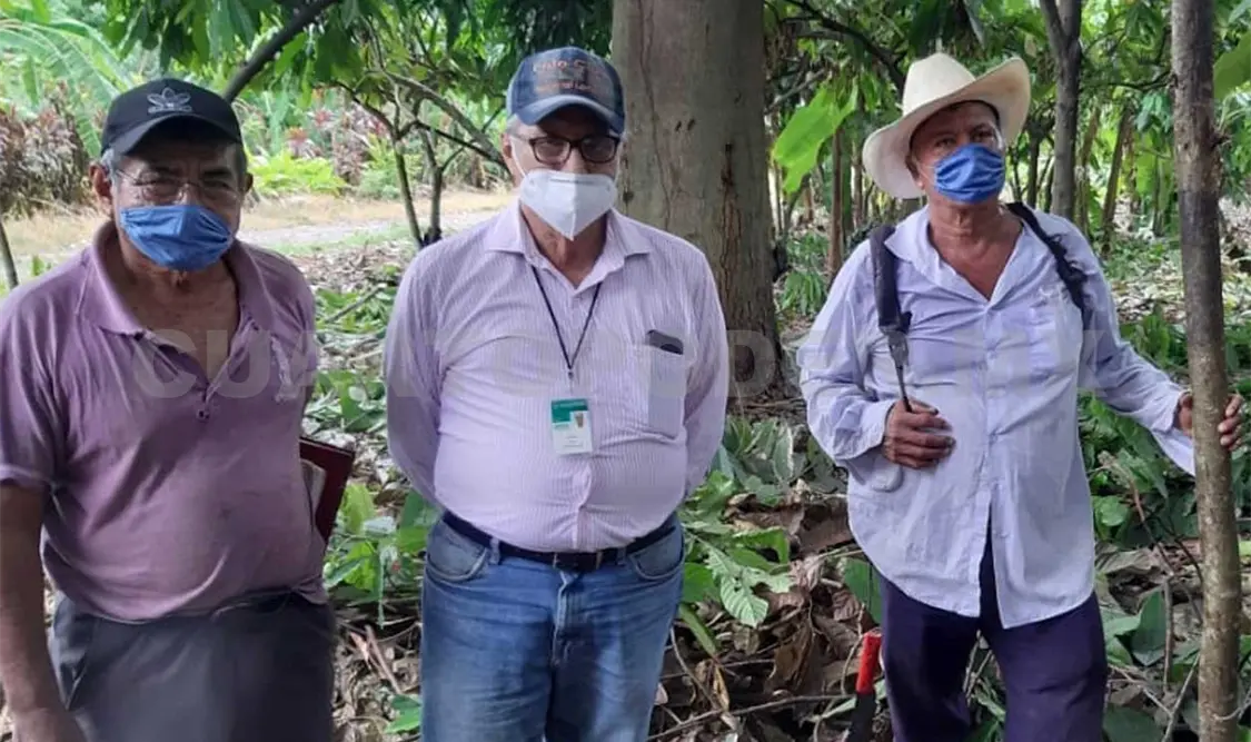 Productores del ejido Hidalgo han empezado la capacitación técnica y apoyos del programa Sembrando Vida. CP