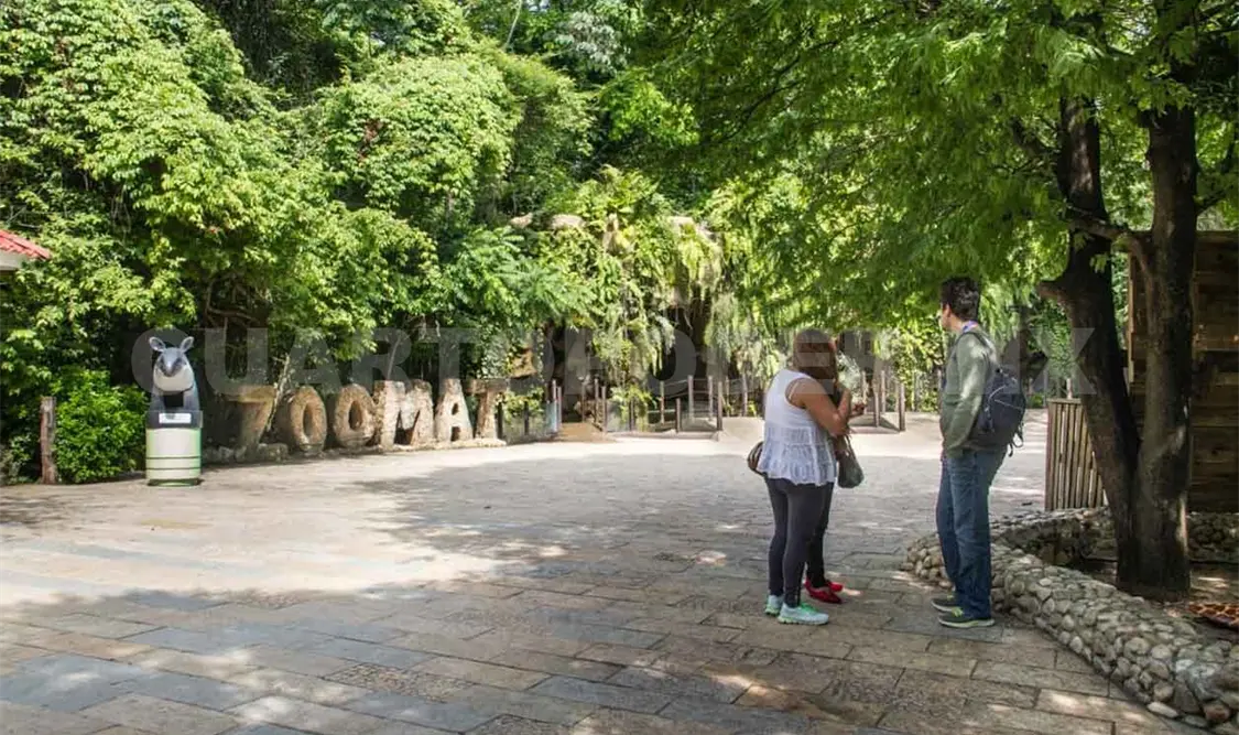 Por pandemia se queda sin visitantes