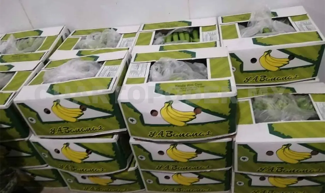 Asegura Ejército 300 kilos de cocaína en tráiler