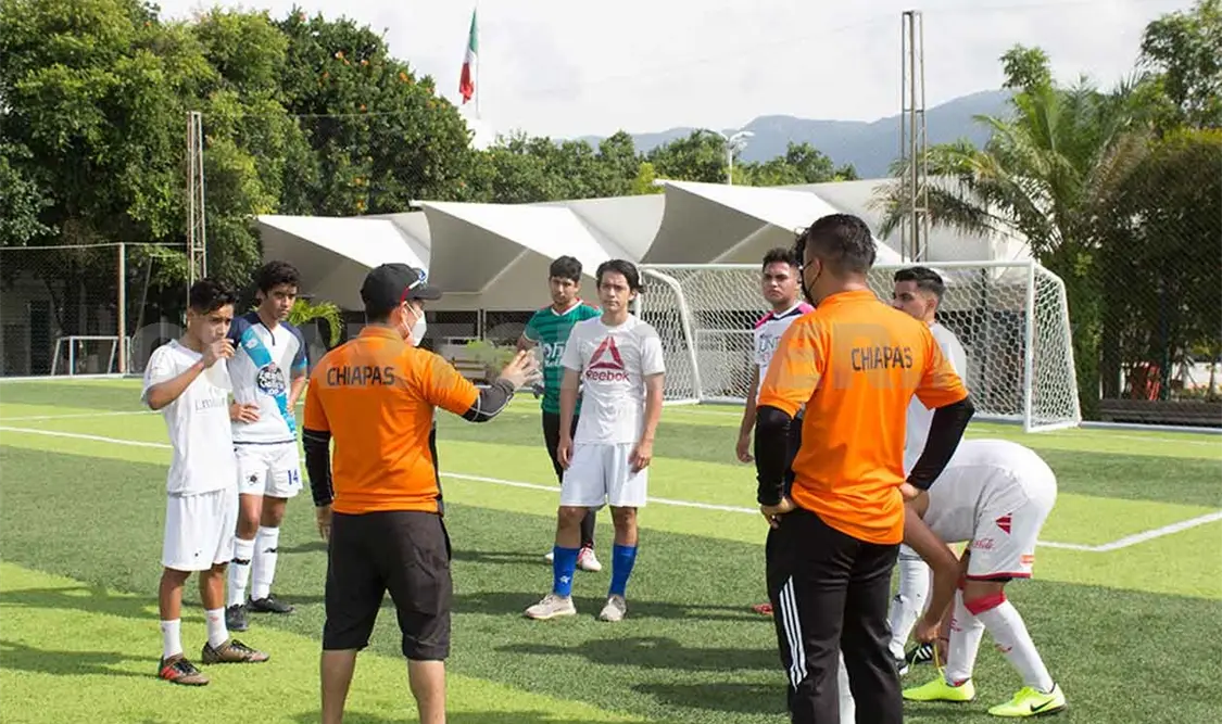 Plantilla de Lechuzas se pone en forma
