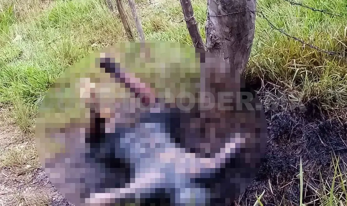 Matan a rejeguero; su compañero queda herido