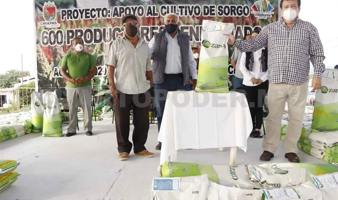 Continúa entrega de de semillas de sorgo