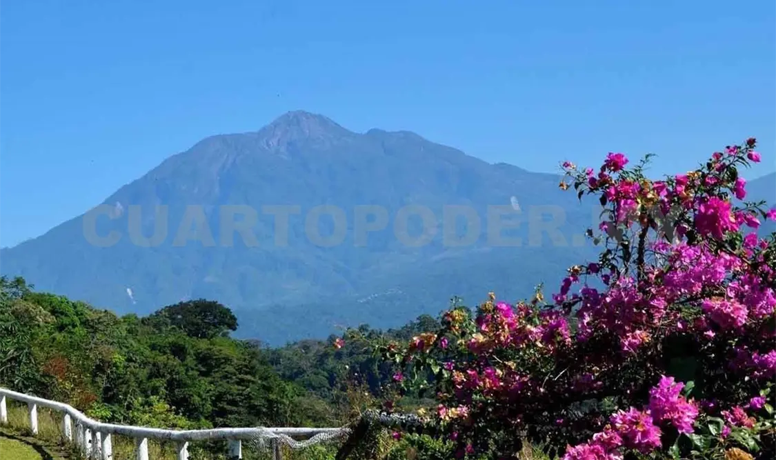 Reserva extenderá zona de protección: Conanp