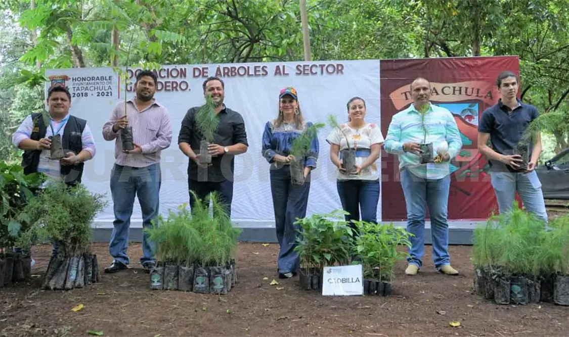 Donan árboles frutales al sector ganadero