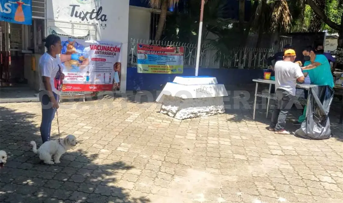 Aplican cuatro mil 484 dosis de tratamiento antirrábico