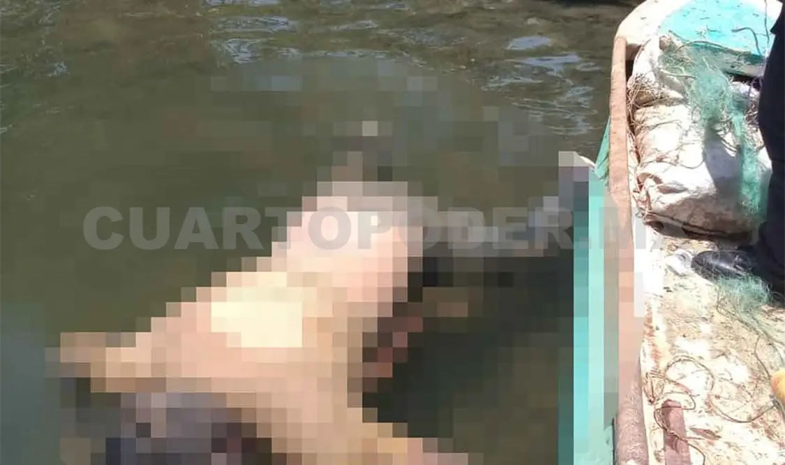 Macabro hallazgo de cadáver flotando