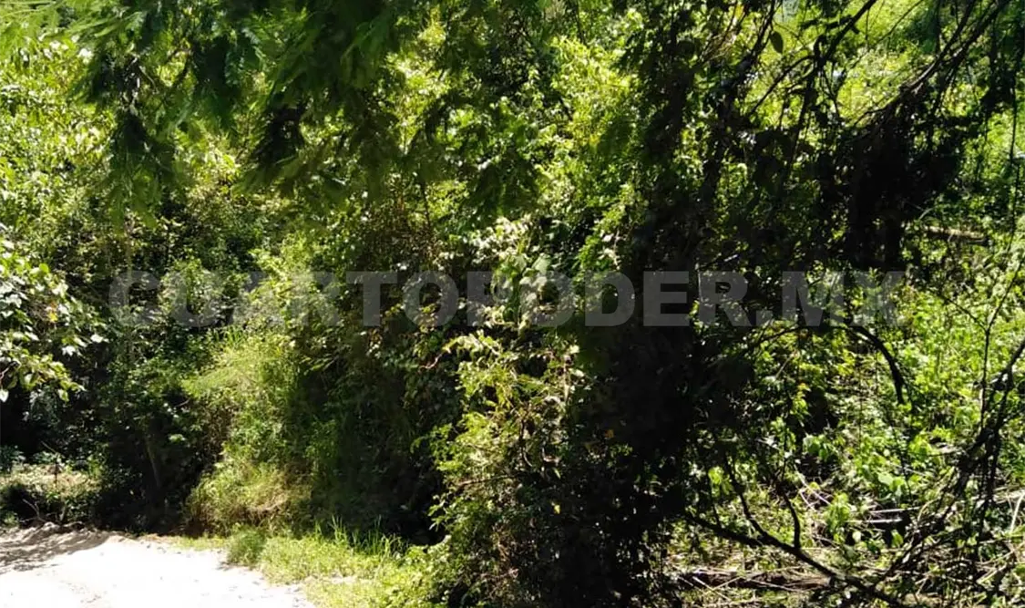 Son 24.2 kilómetros accidentados que tienen que pasar los habitantes de San José. CP