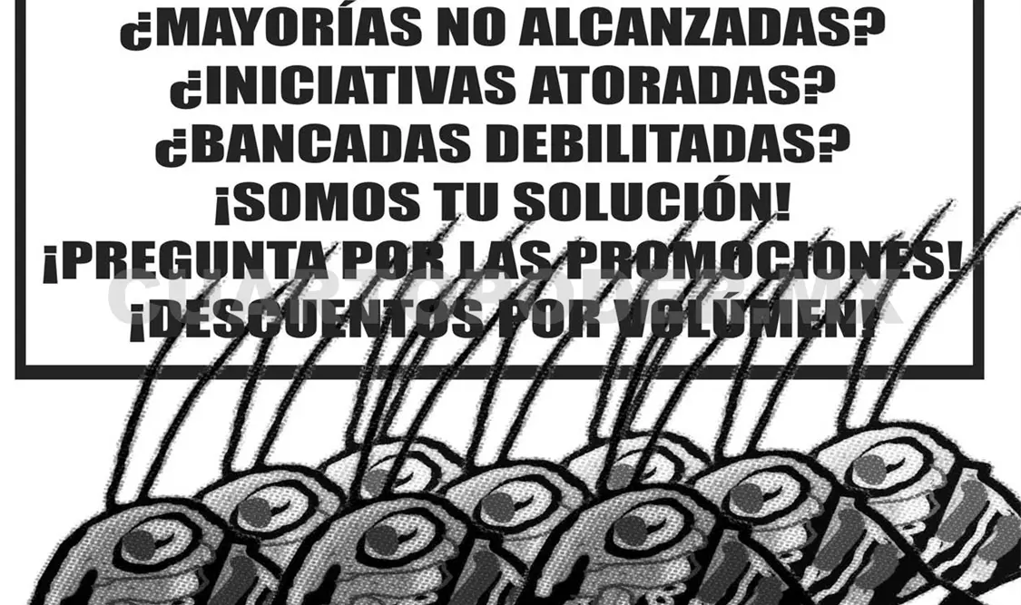 Chapulines y Congreso