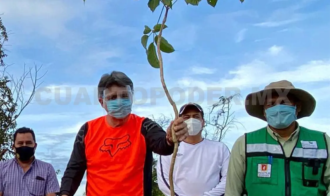 Alcalde encabeza reforestación en ejido