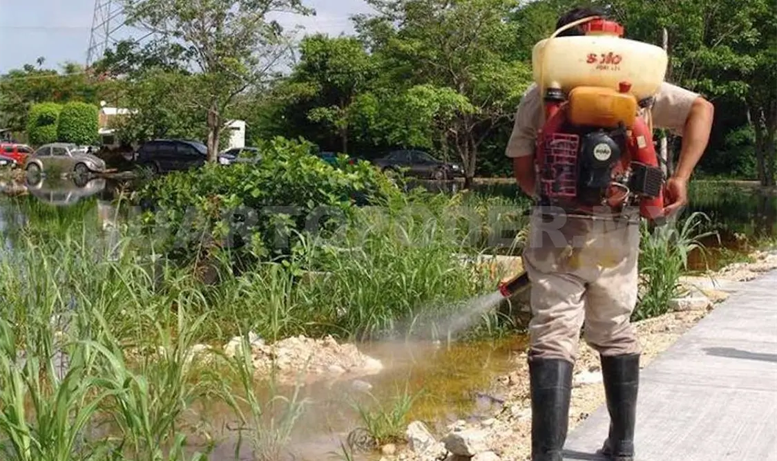 Al corte de la semana epidemiológica 35, en el estado de Yucatán se reportan 139 casos positivos de dengue. Agencias