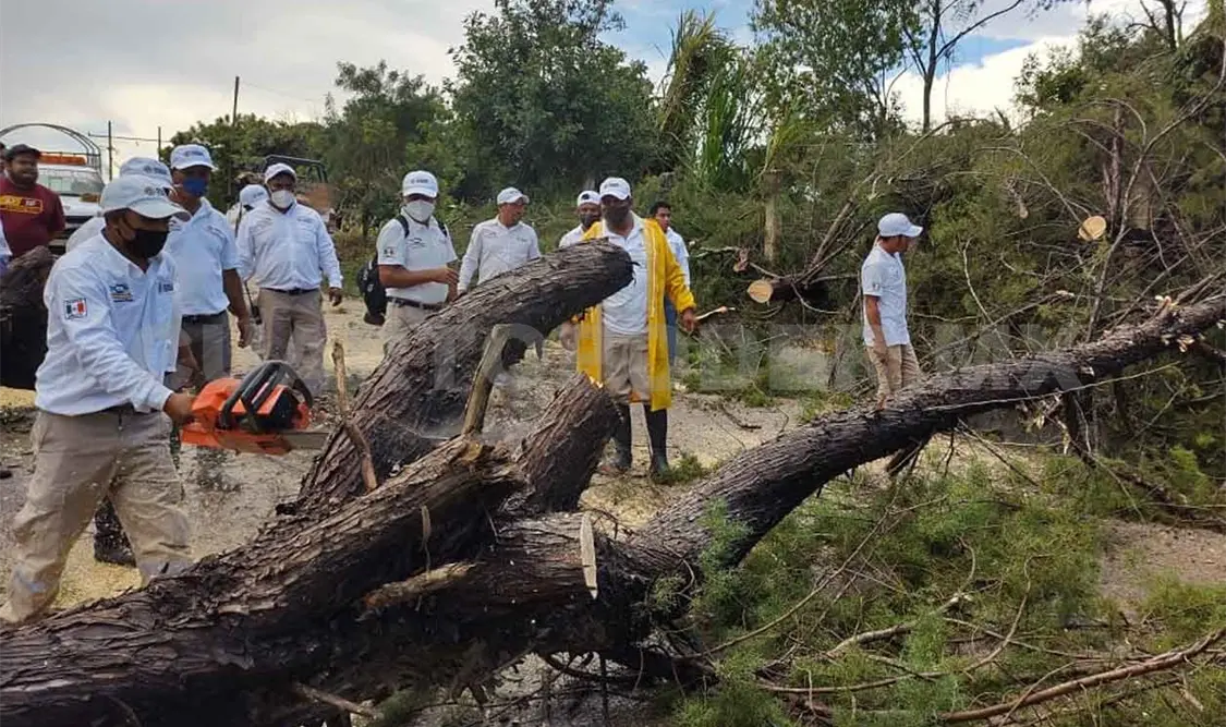 Tromba daña viviendas en Las Margaritas