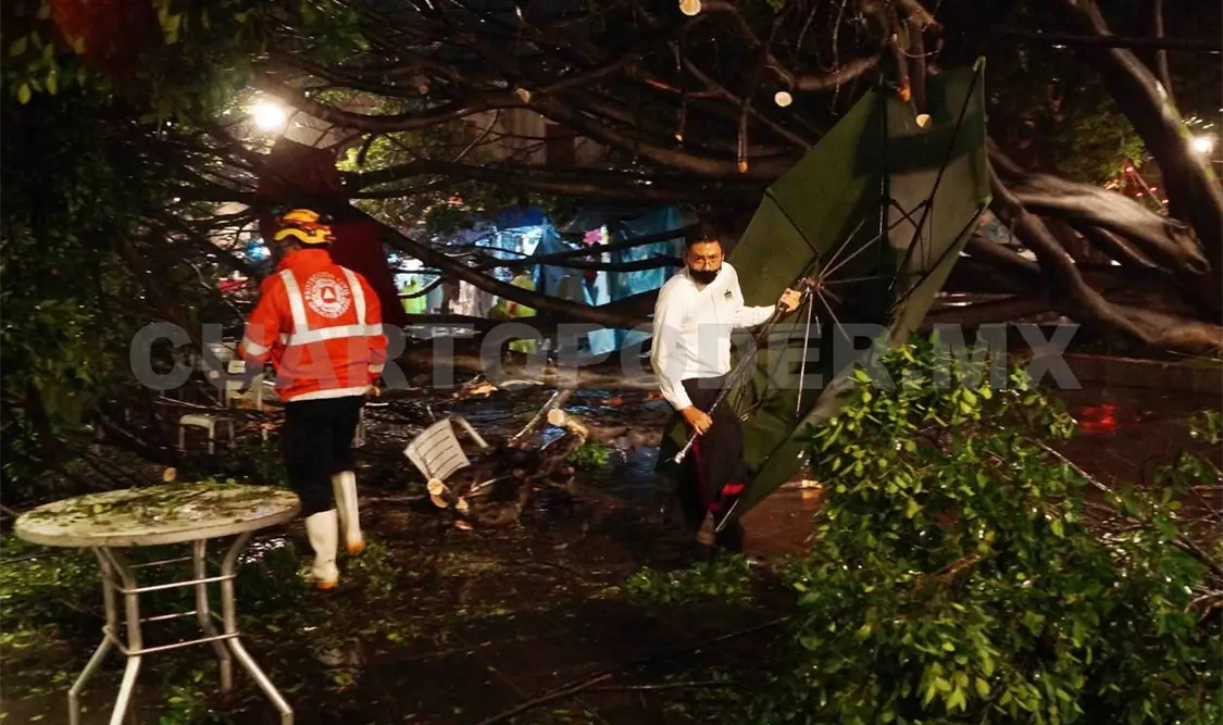 Al menos cinco municipios de la región de la Cuenca del Papaloapan, en la zona norte de Oaxaca, resultaron afectados por las lluvias. El Universal