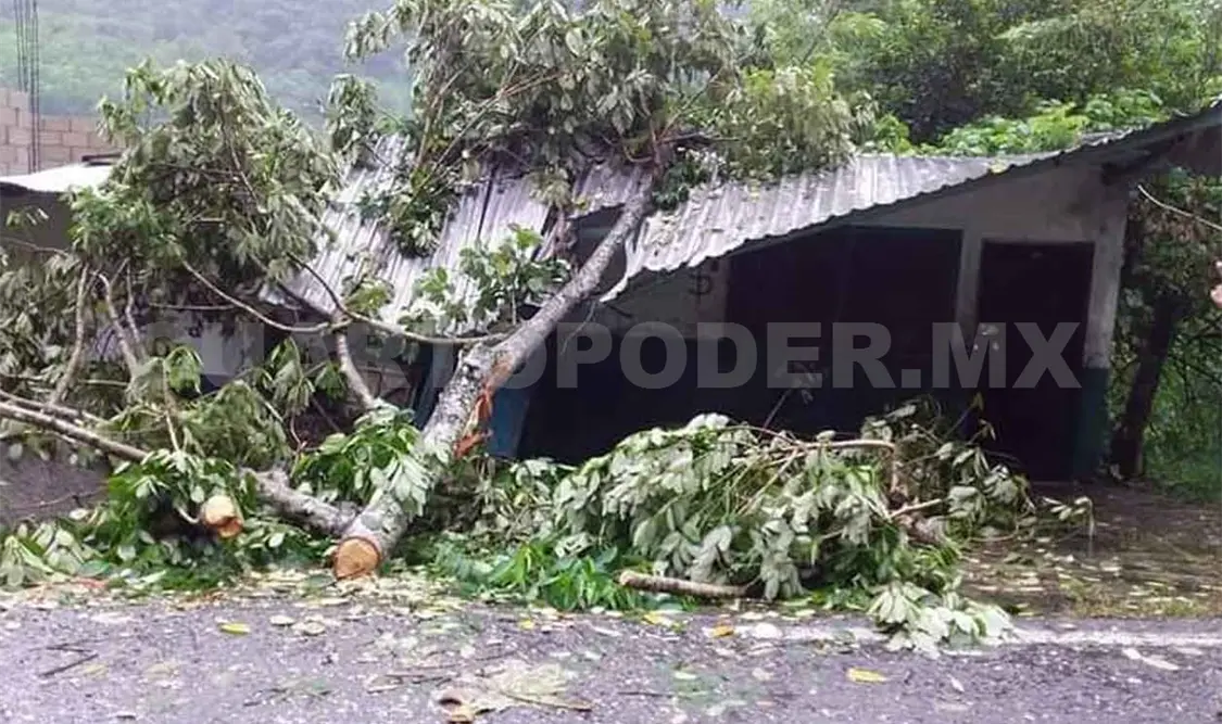Derrumbes y caída de árboles por paso de tormenta “Beta”