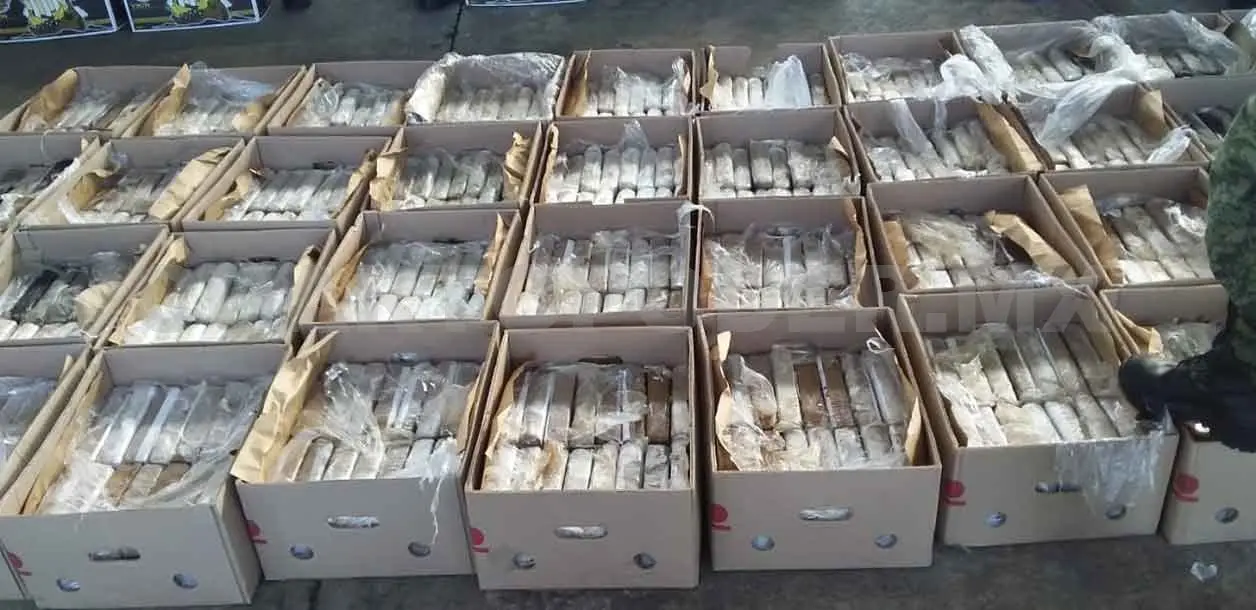 Aseguran cocaína en carga de plátanos