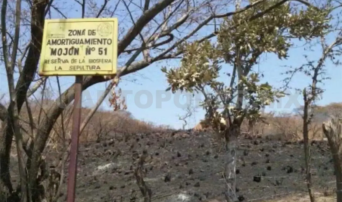Presentan resultados del Campo Experimental