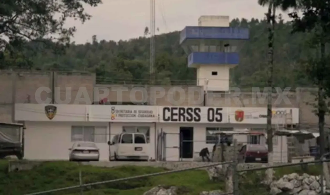 Recolectarán firmas para solicitar amnistía