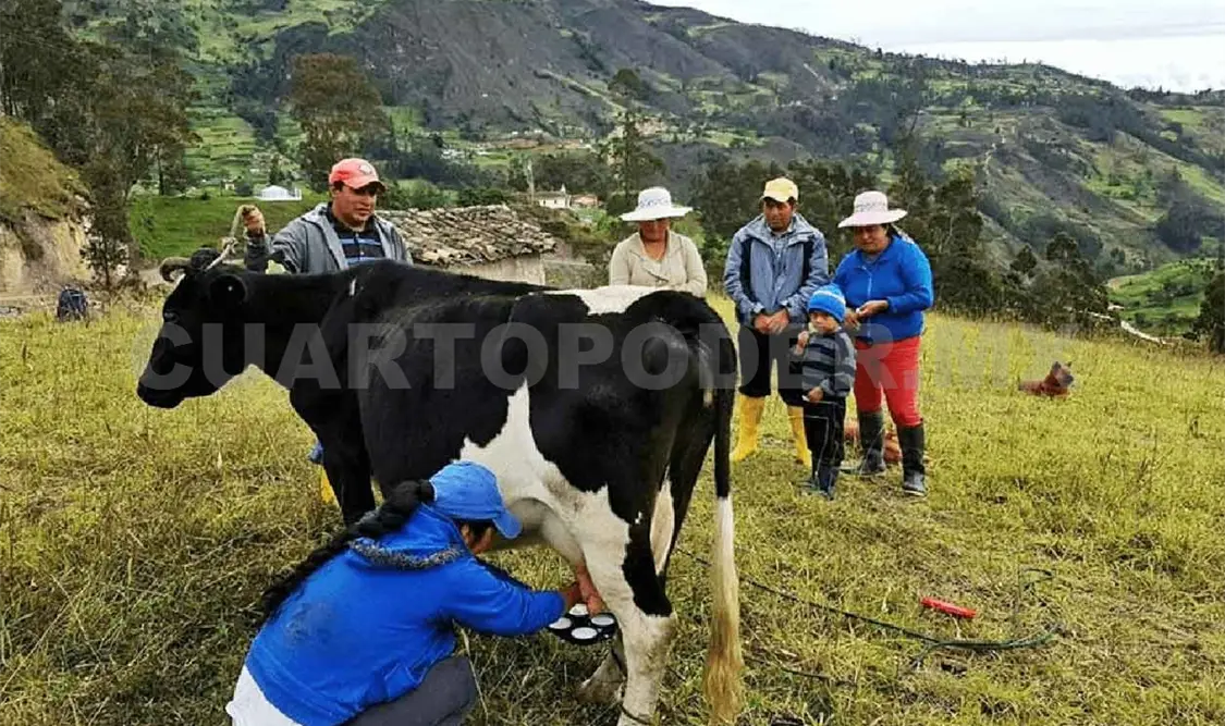 Productores de leche demandan pago puntual