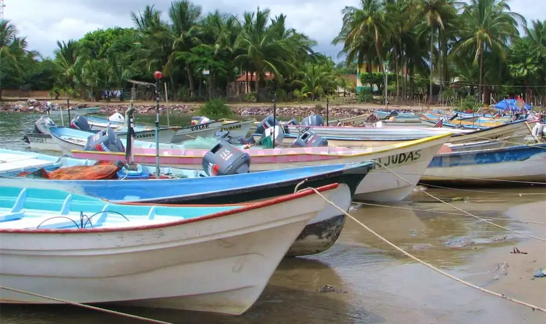 Autoridades suspenden captura de tiburones